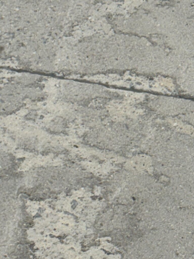 IMG-20250113-WA0032